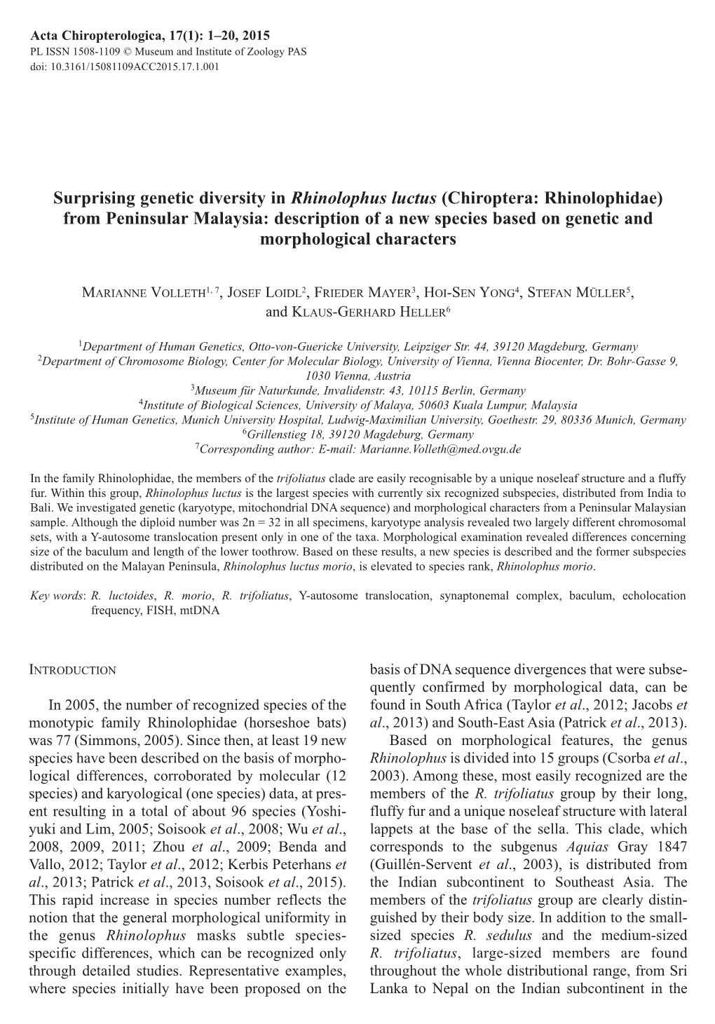 Surprising Genetic Diversity in &lt;I&gt;Rhinolophus Luctus&lt;/I