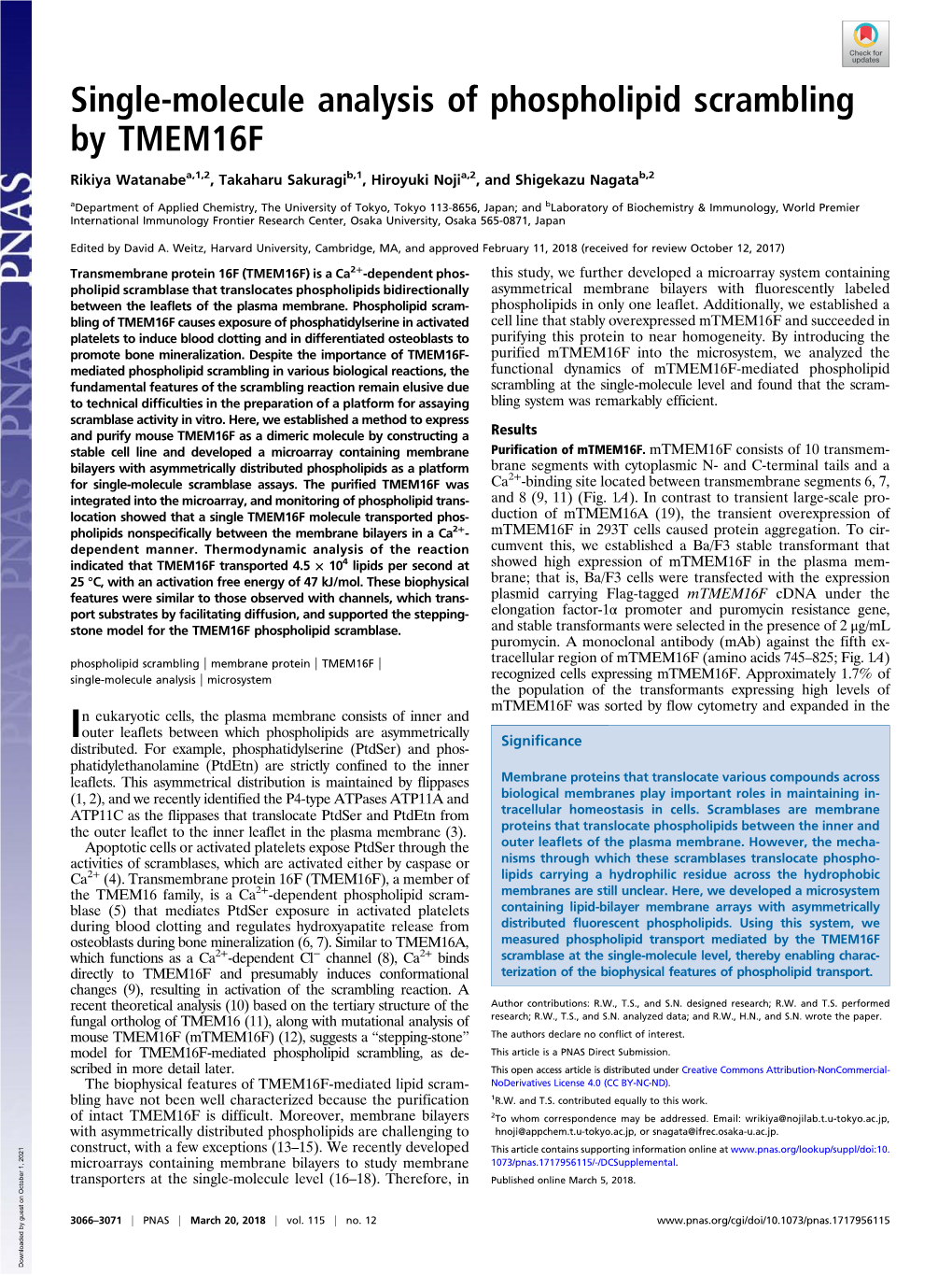 Single-Molecule Analysis of Phospholipid Scrambling by TMEM16F