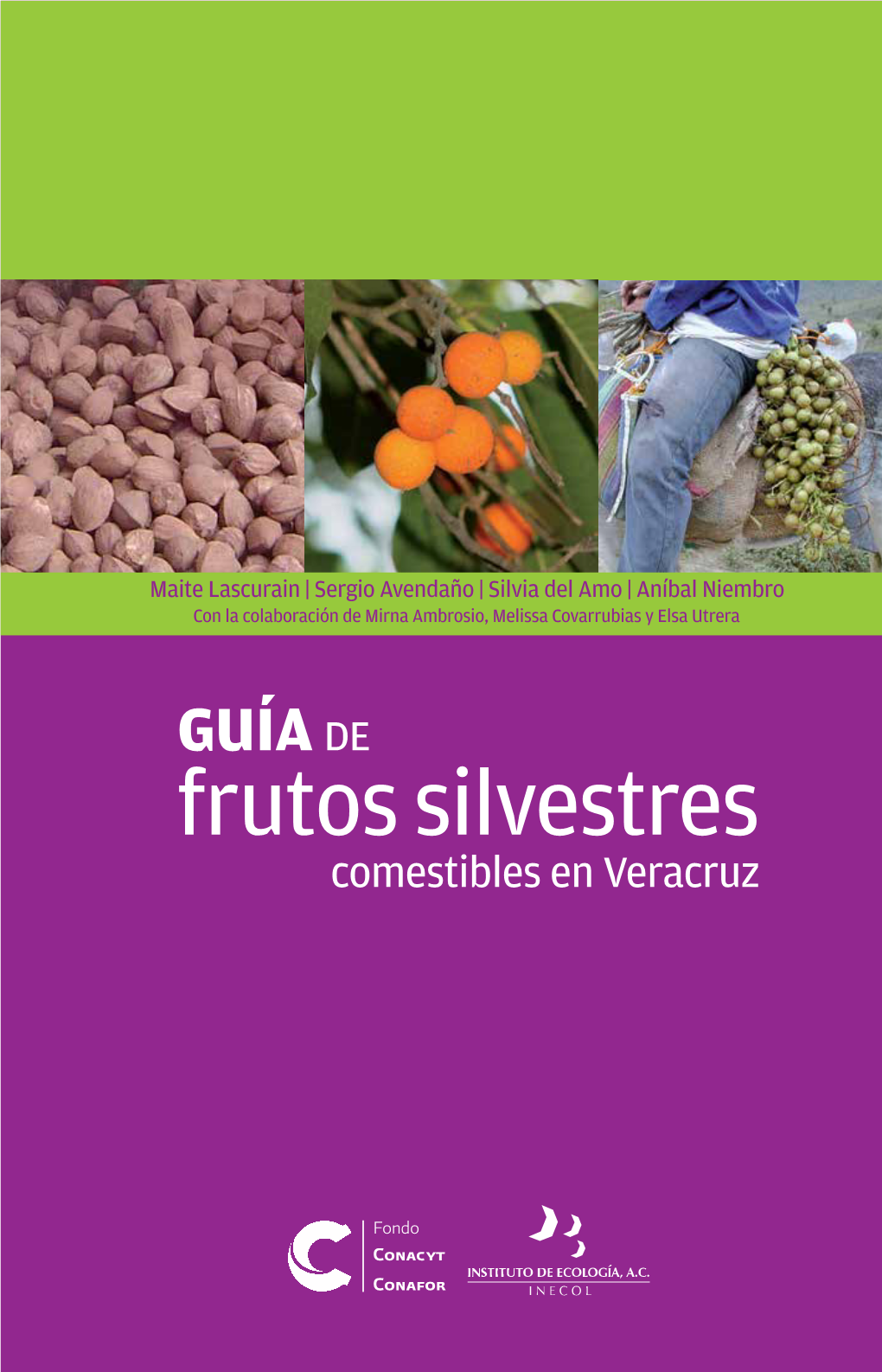 Frutos Silvestres Comestibles En Veracruz Guía DE Frutos Silvestres Comestibles En Veracruz