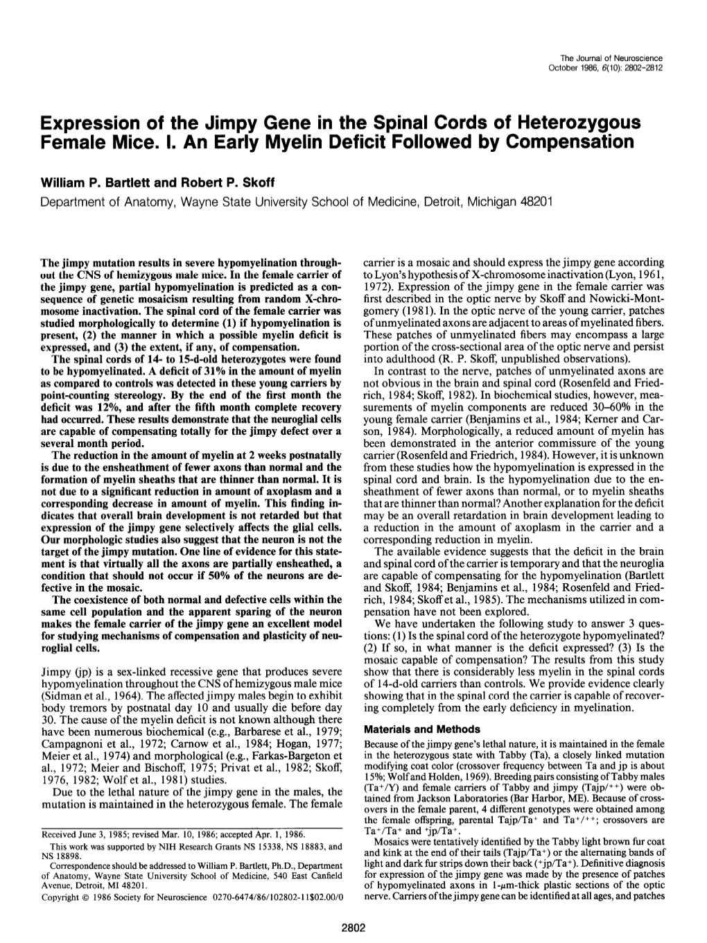 Expression of the Jimpy Gene in the Spinal Cords of Heterozygous Female Mice