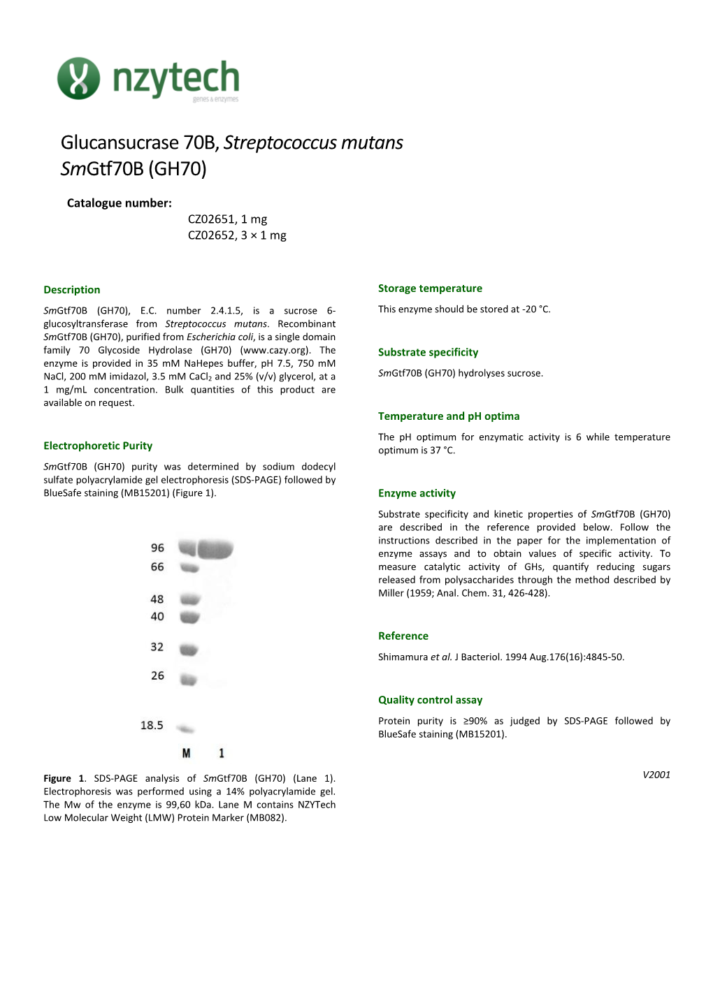 Glucansucrase 70B, Streptococcus Mutans Smgtf70b (GH70)