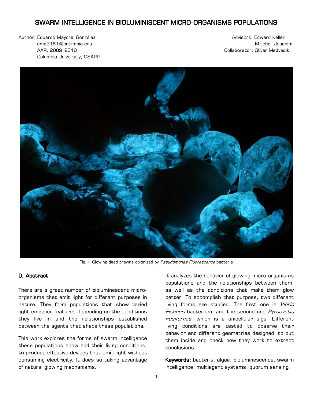 Swarm Intelligence in Bioluminiscent Micro-Organisms Populations