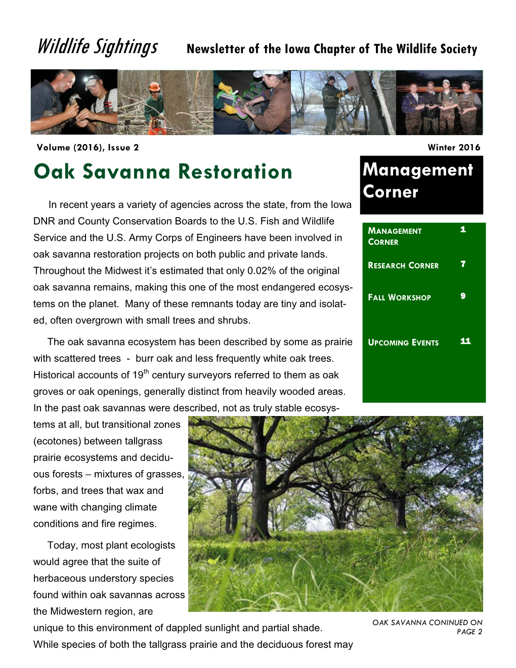 Oak Savanna Restoration Management Corner in Recent Years a Variety of Agencies Across the State, from the Iowa DNR and County Conservation Boards to the U.S