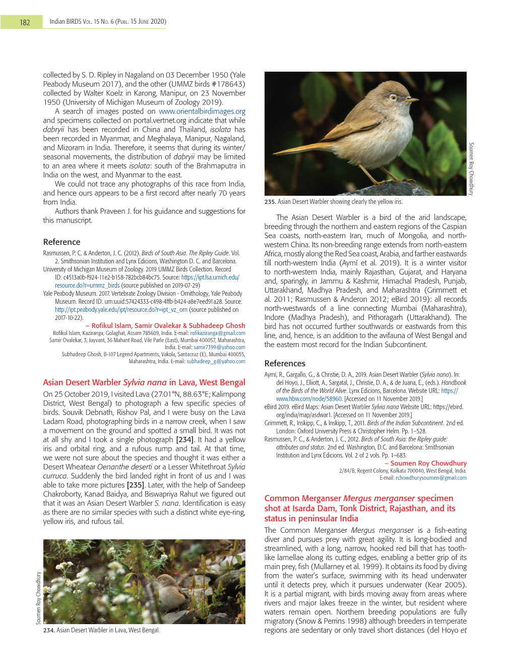 Asian Desert Warbler Sylvia Nana in Lava, West Bengal Del Hoyo, J., Elliott, A., Sargatal, J., Christie, D