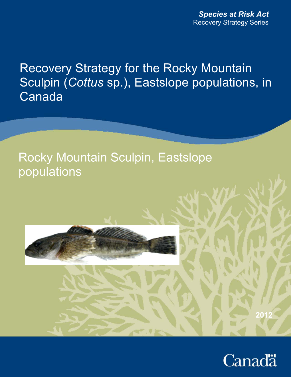 Recovery Strategy for the Rocky Mountain Sculpin (Cottus Sp.), Eastslope Populations, in Canada