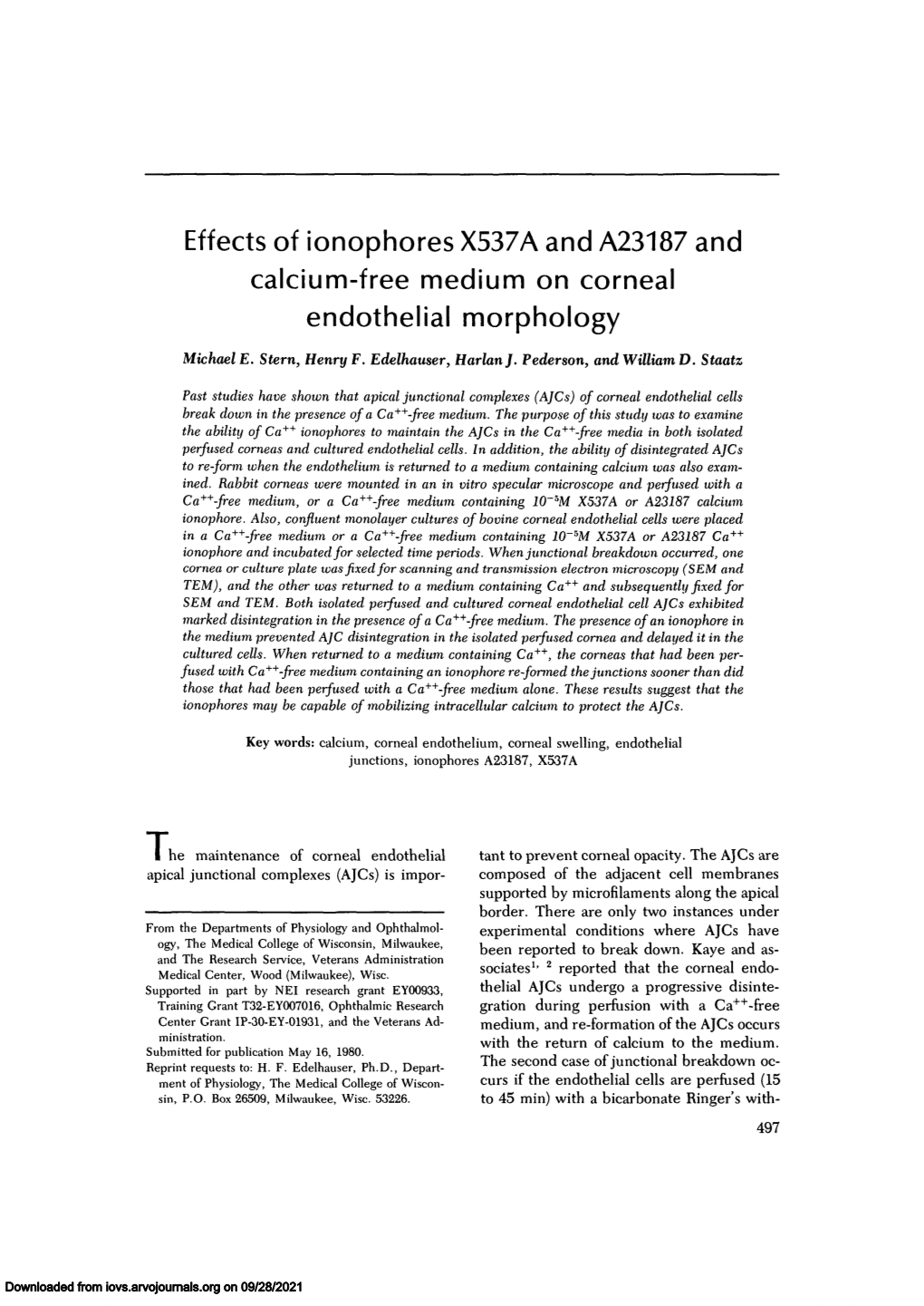 Effects of Ionophores X537A and A23187 and Calcium-Free Medium on Corneal Endothelial Morphology