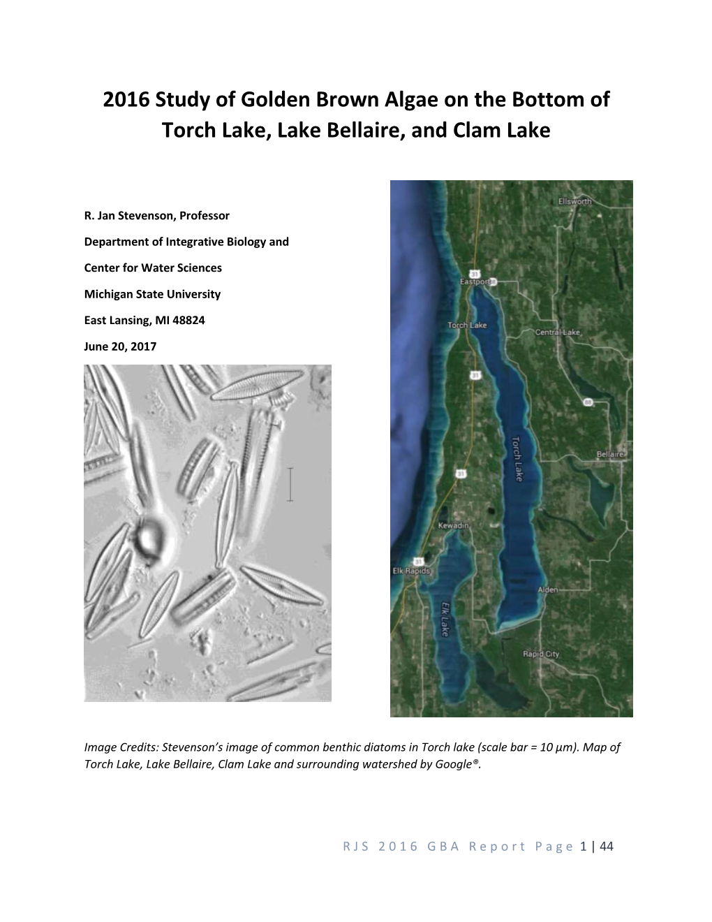 2016 Study of Golden Brown Algae on the Bottom of Torch Lake, Lake Bellaire, and Clam Lake