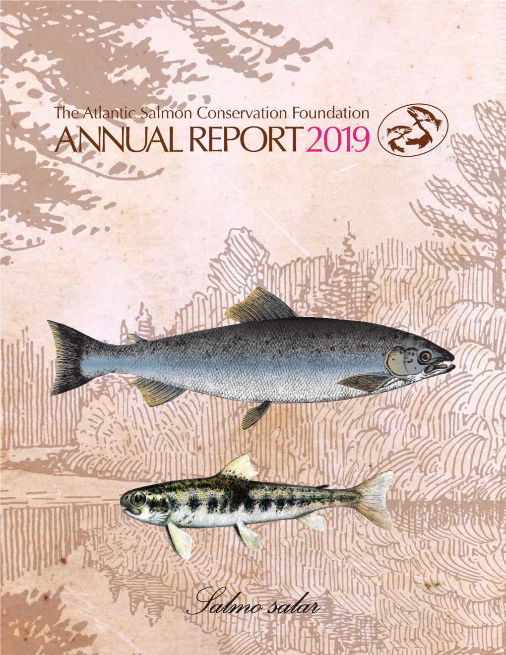 Salmo Salar the Atlantic Salmon Conservation Foundation 2018 Annual Report TABLE of CONTENTS