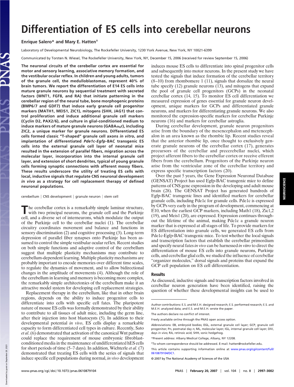 Differentiation of ES Cells Into Cerebellar Neurons