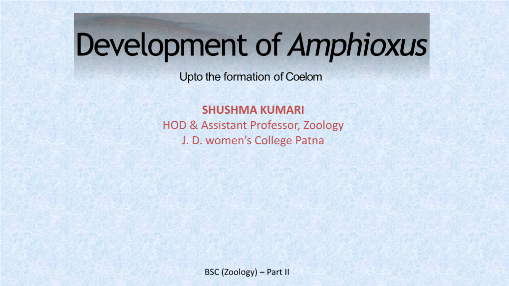 Development of Amphioxus Upto Formation of Coelom