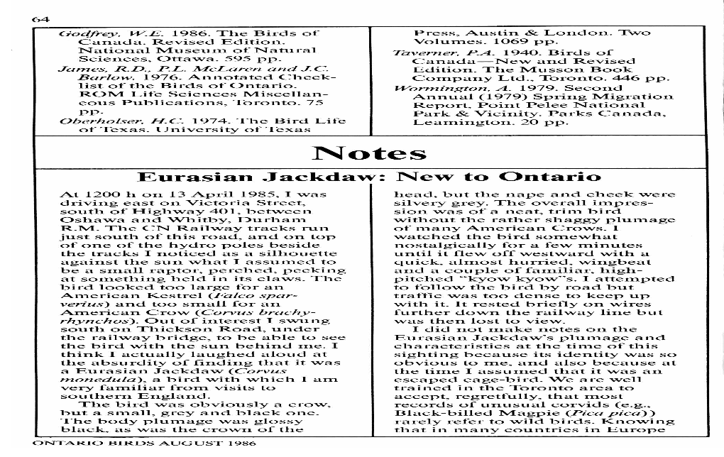 Eurasian Jackdaw: New to Ontario