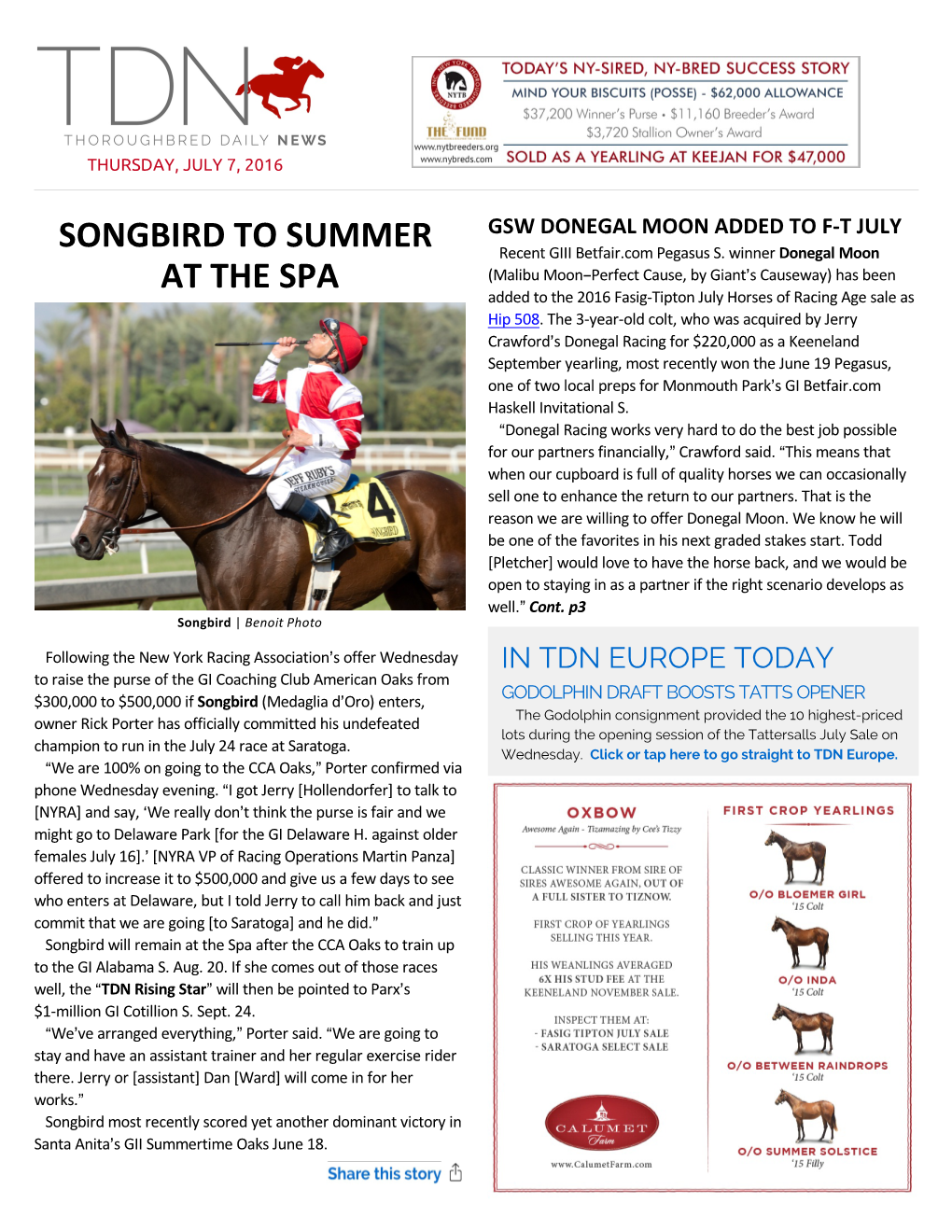 Songbird to Summer at The