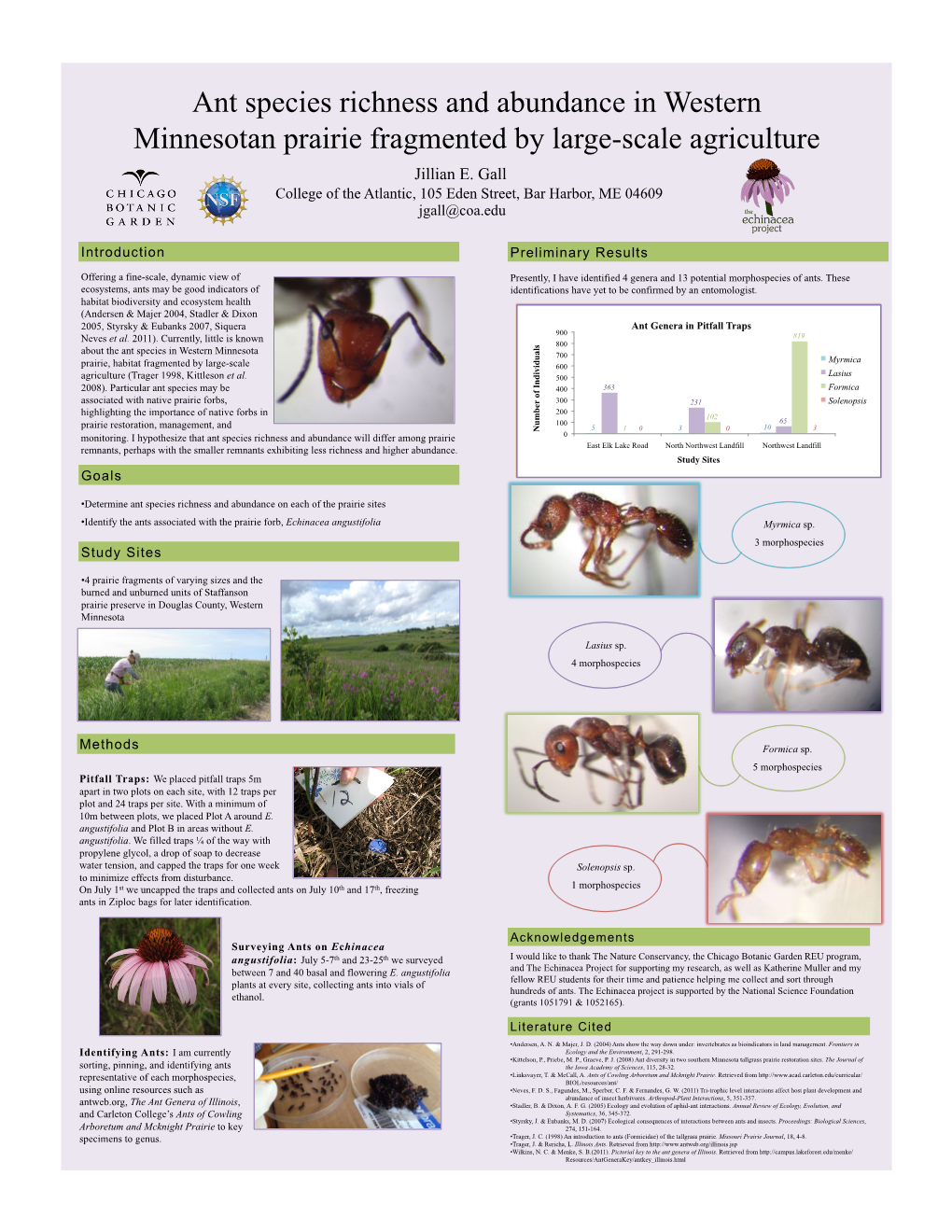 Ant Species Richness and Abundance in Western Minnesotan Prairie Fragmented by Large-Scale Agriculture Jillian E