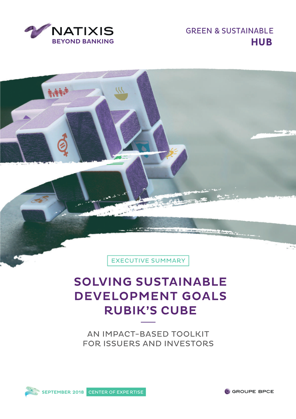 Solving Sustainable Development Goals Rubik's