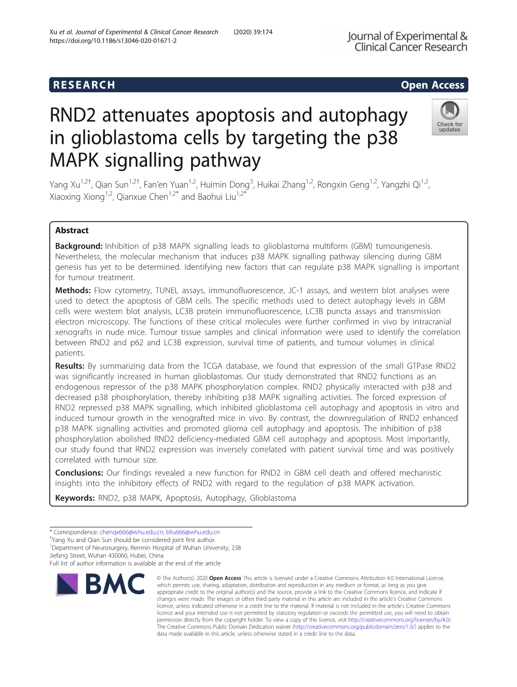 RND2 Attenuates Apoptosis and Autophagy in Glioblastoma Cells By