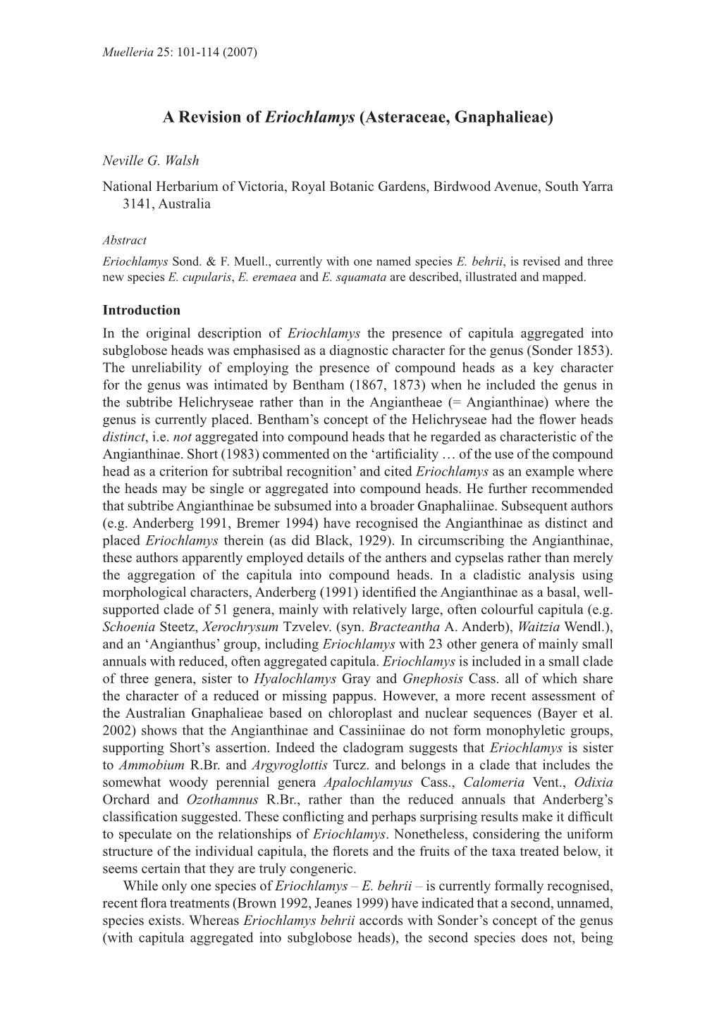 A Revision of Eriochlamys (Asteraceae, Gnaphalieae)