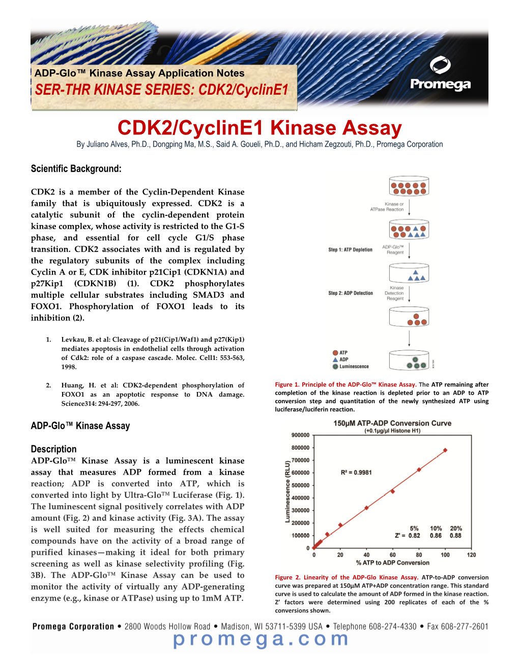 CDK2/Cycline1 Kinase Assay by Juliano Alves, Ph.D., Dongping Ma, M.S., Said A