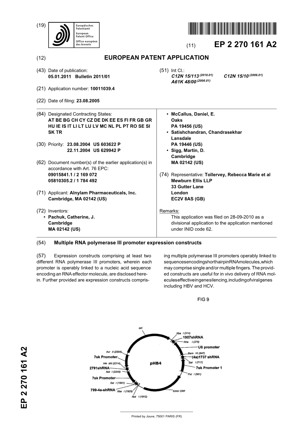 Multiple RNA Polymerase III Promoter Expression Constructs