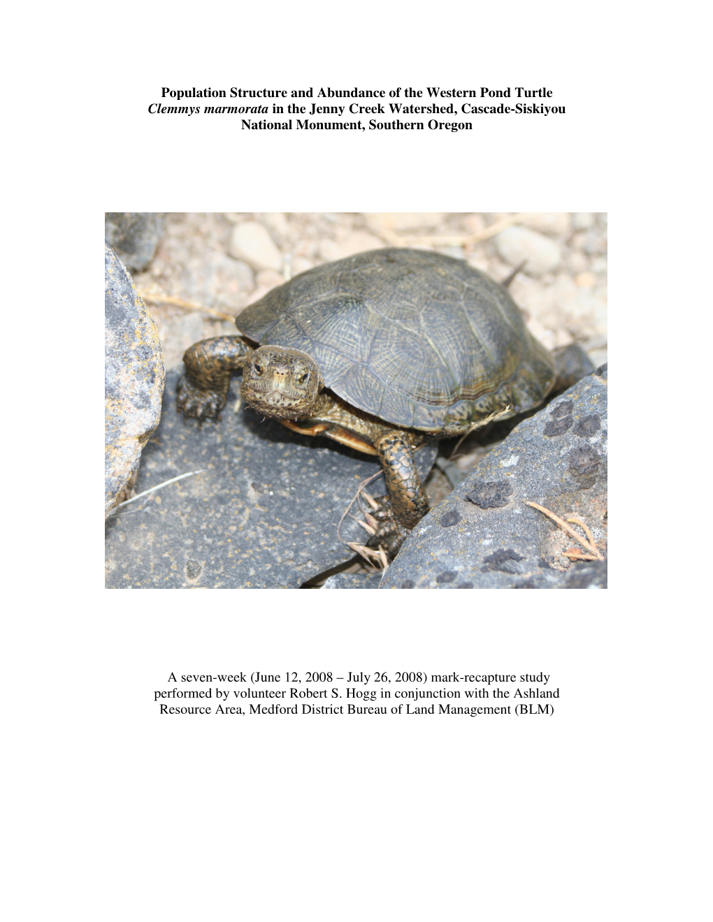 Population Structure and Abundance of the Western Pond Turtle Clemmys Marmorata in the Jenny Creek Watershed, Cascade-Siskiyou National Monument, Southern Oregon