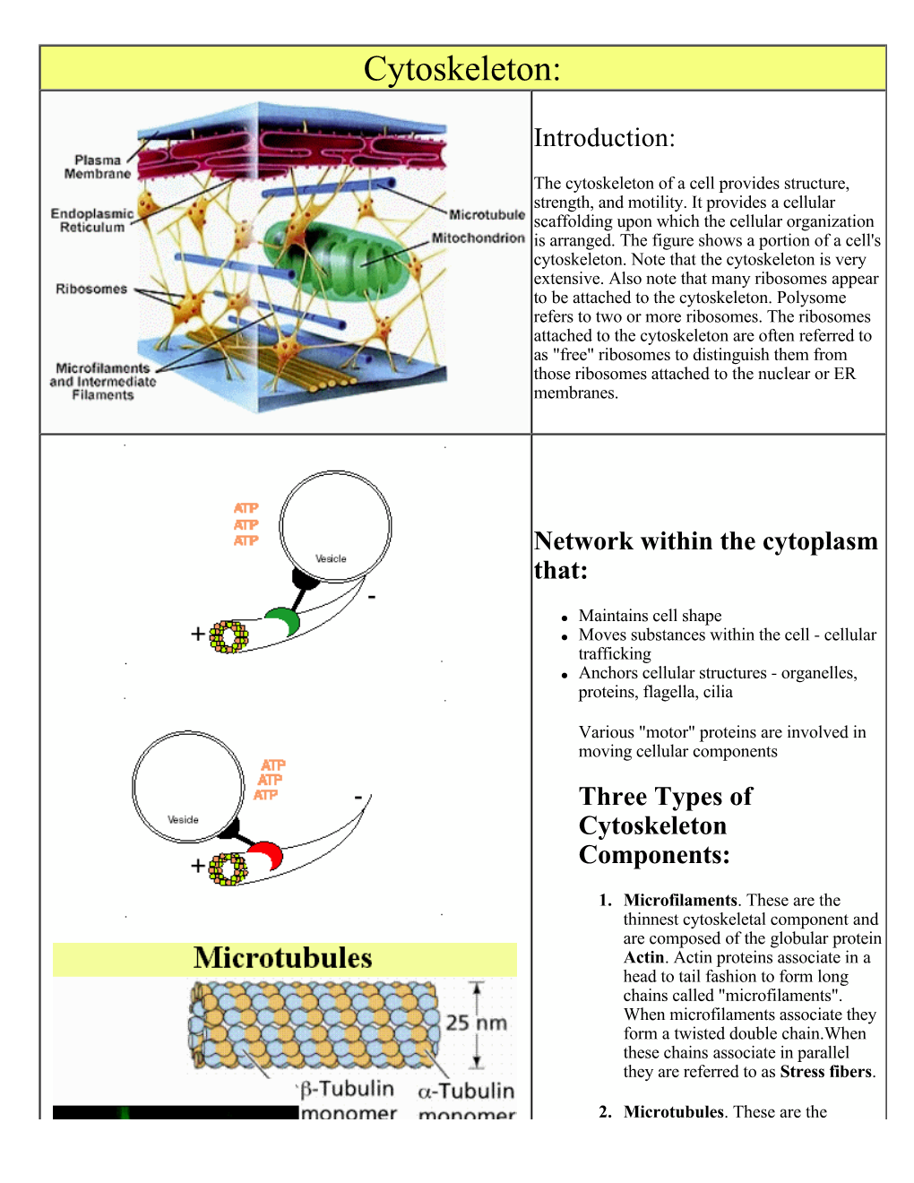 Cytoskeleton.Pdf