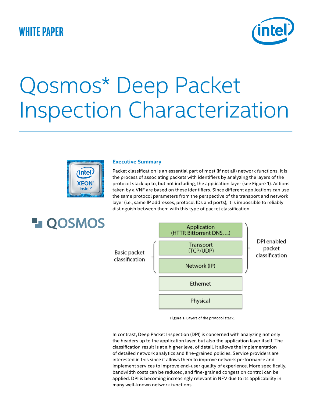 Qosmos* Deep Packet Inspection Characterization