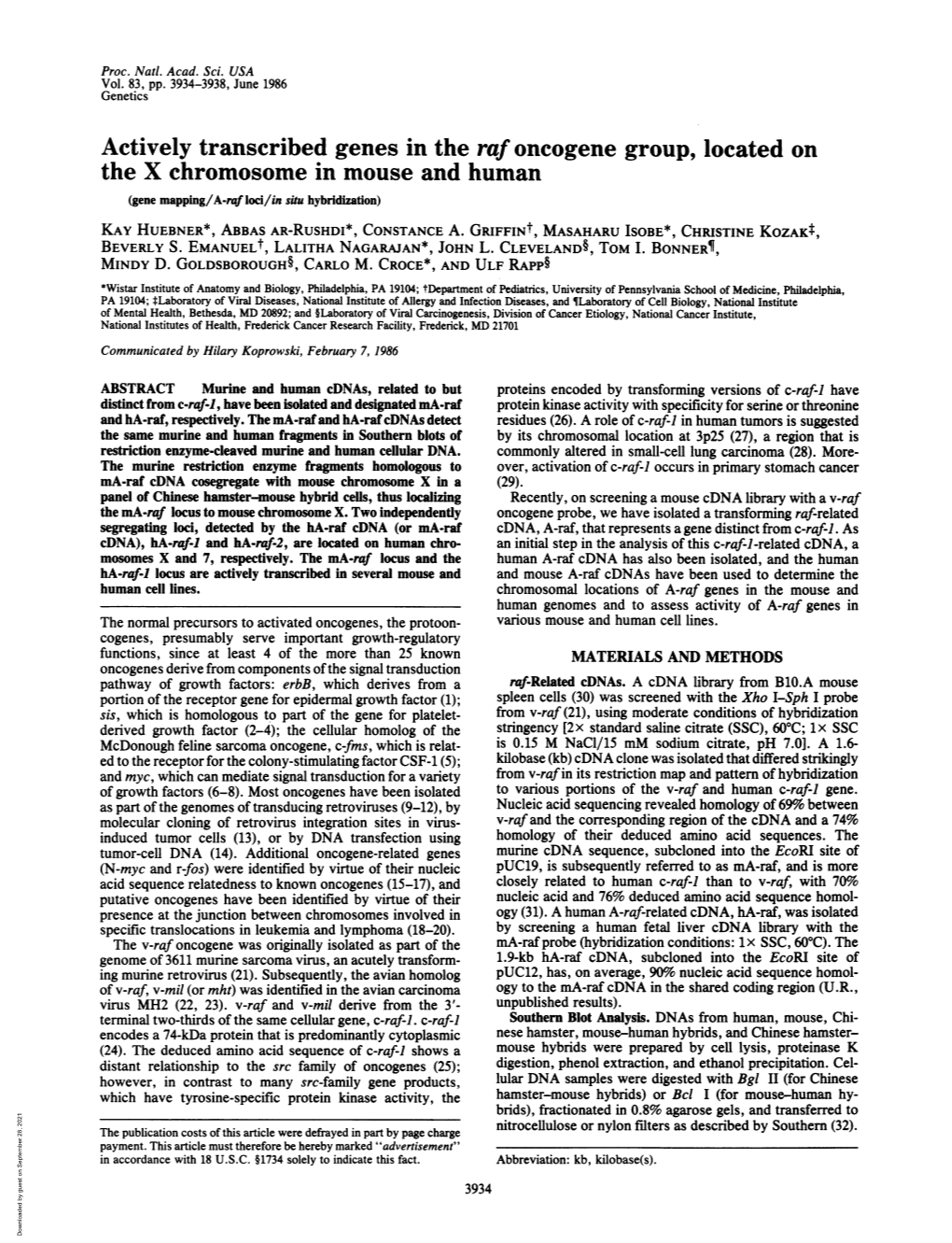 Actively Transcribed Genes in the Raf Oncogene Group, Located on the X