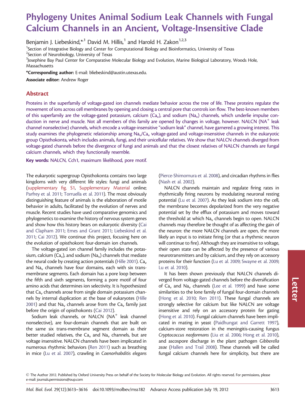 Letter Phylogeny Unites Animal Sodium Leak Channels with Fungal