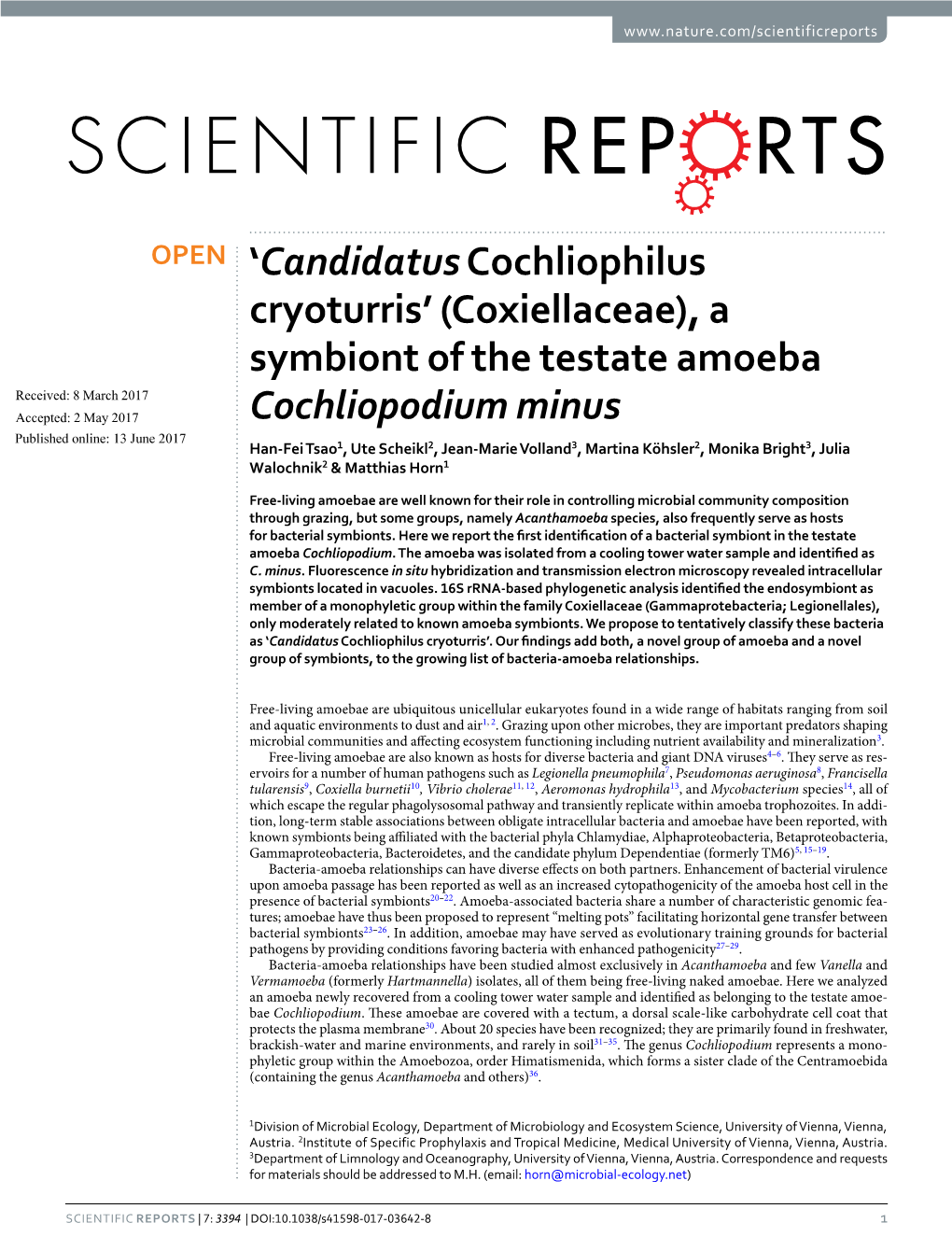 (Coxiellaceae), a Symbiont of the Testate Amoeba Cochliopodium Minus