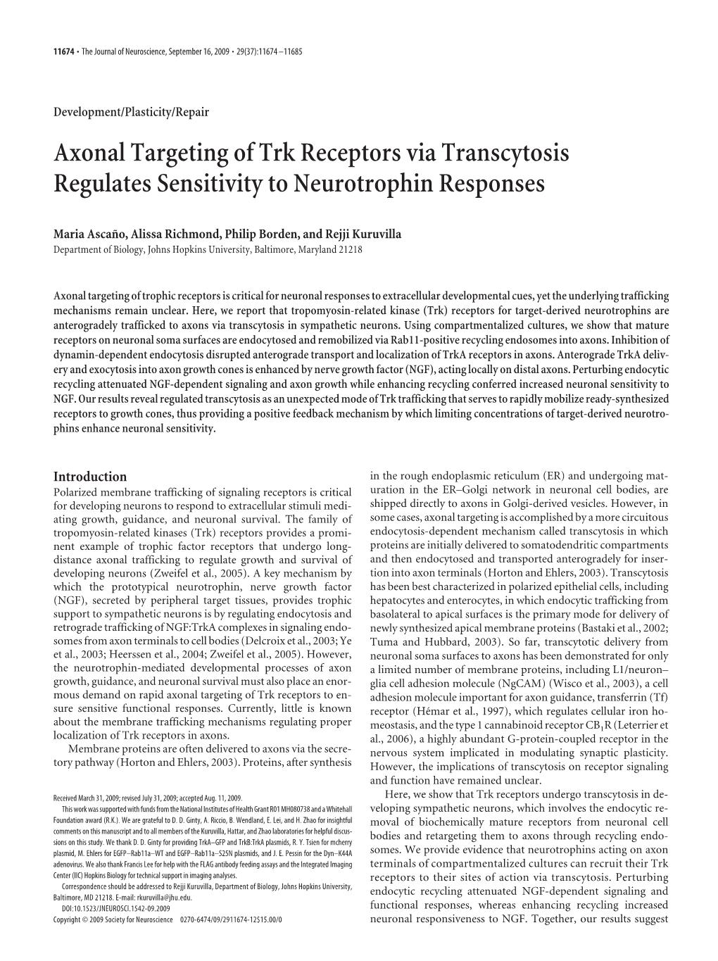 Axonal Targeting of Trk Receptors Via Transcytosis Regulates Sensitivity to Neurotrophin Responses