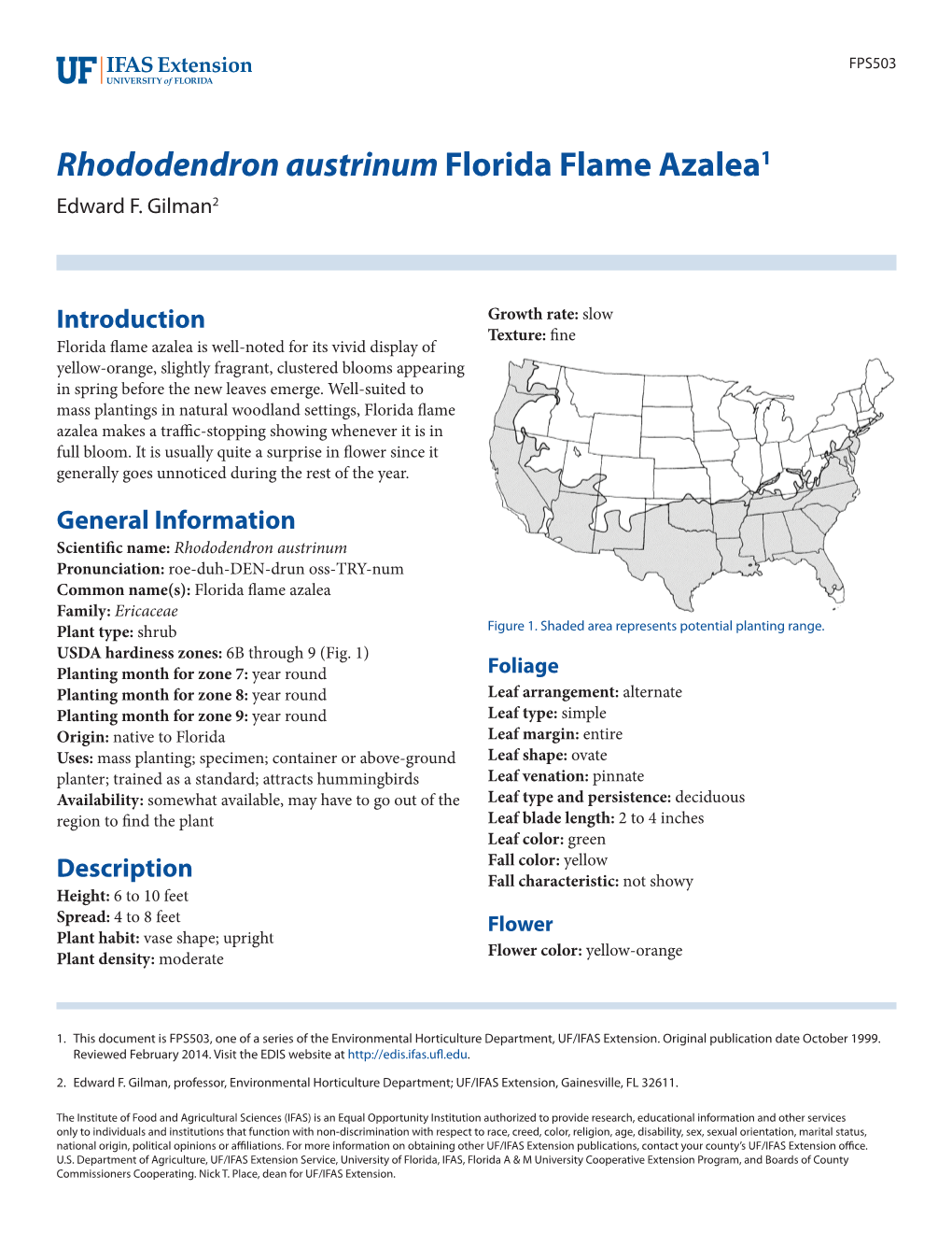 Rhododendron Austrinum Florida Flame Azalea1 Edward F