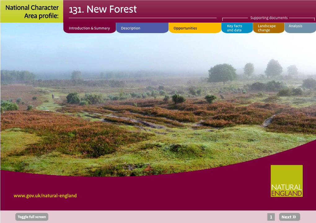 NCA Profile:131 New Forest