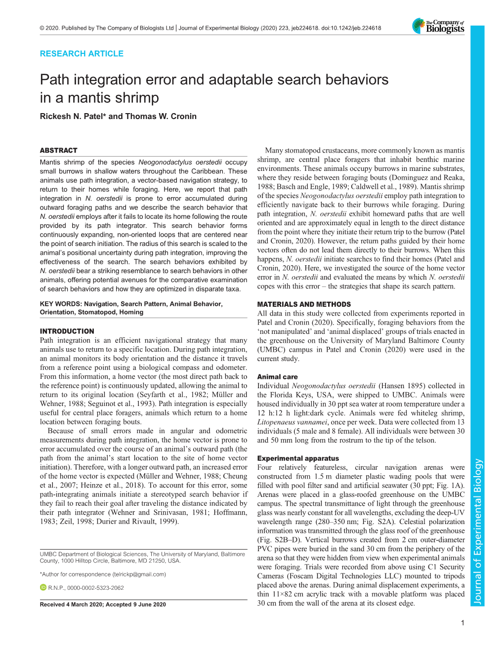 Path Integration Error and Adaptable Search Behaviors in a Mantis Shrimp Rickesh N