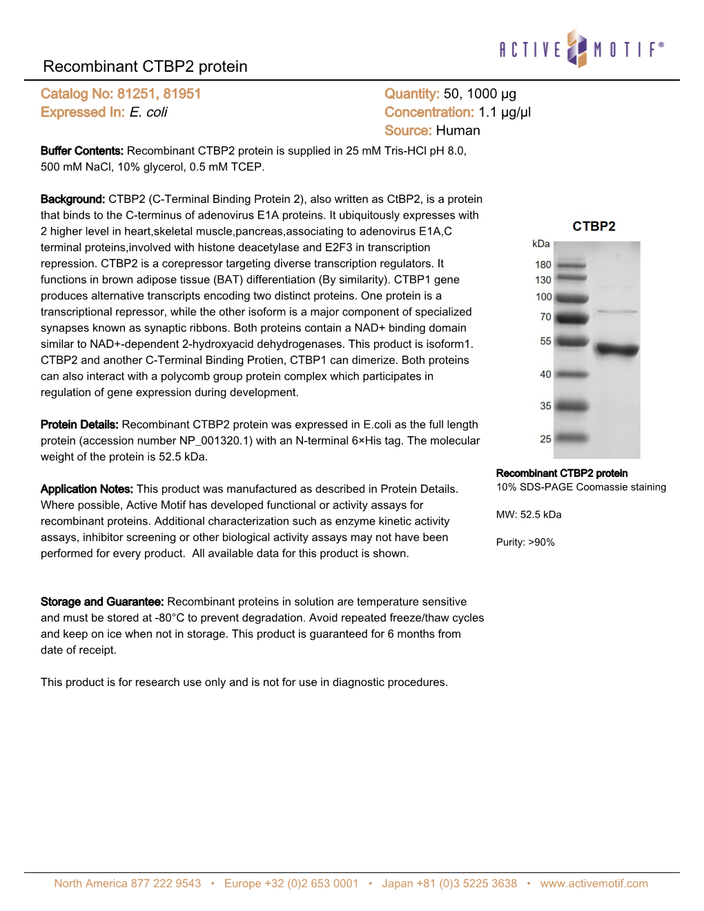 Recombinant CTBP2 Protein Catalog No: 81251, 81951 Quantity: 50, 1000 Μg Expressed In: E