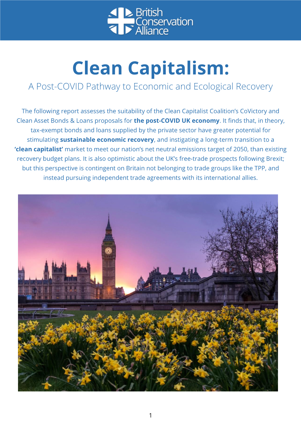 Clean Capitalism: a Post-COVID Pathway to Economic and Ecological Recovery