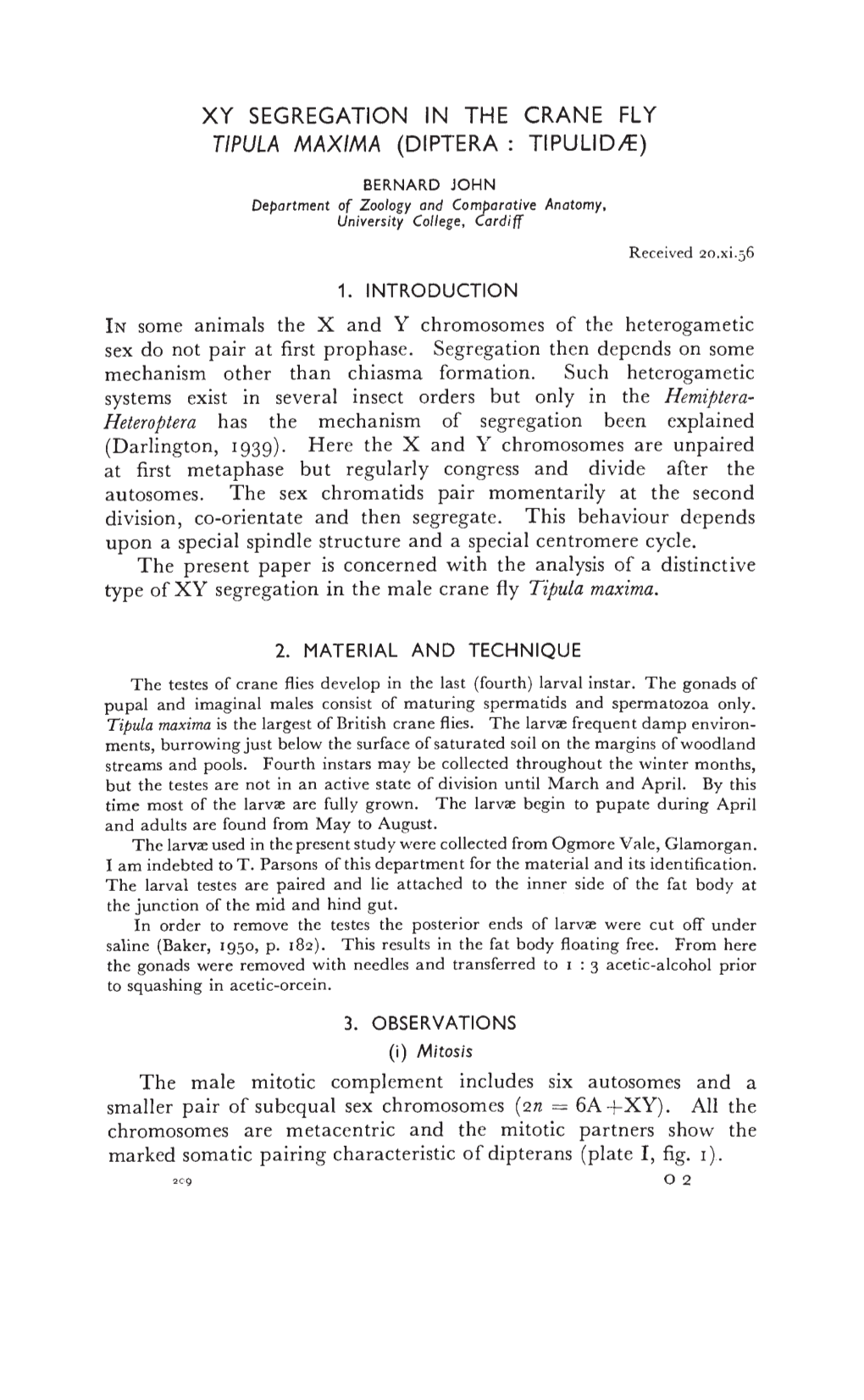 At First Metaphase but Regularly Congress and Divide After the Autosomes