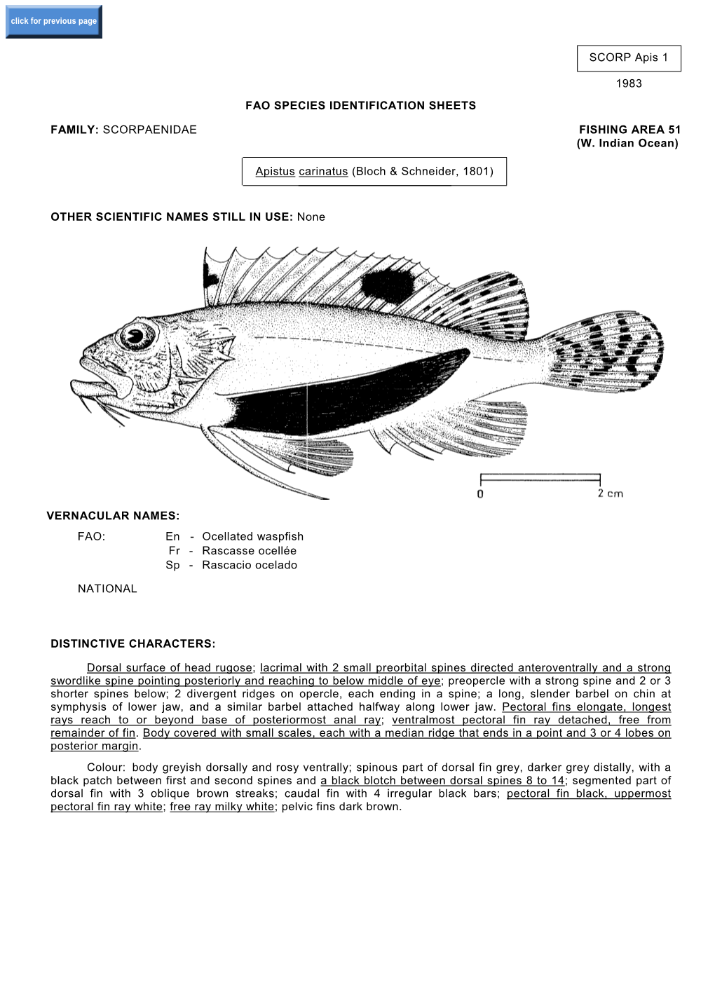 Apistus Carinatus (Bloch & Schneider, 1801)