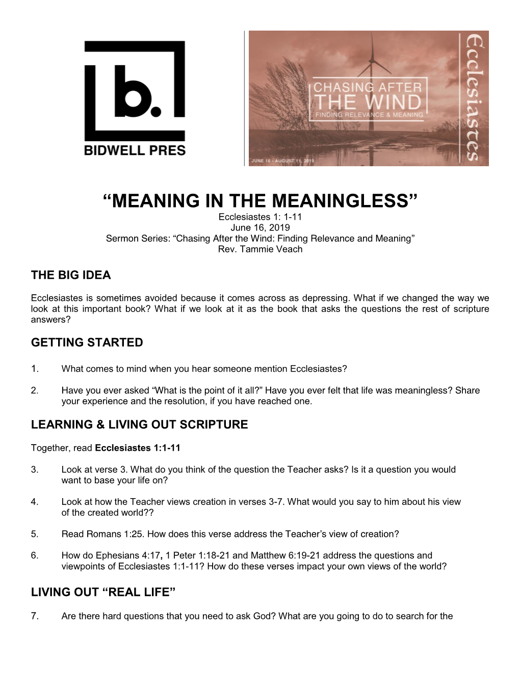 “MEANING in the MEANINGLESS” Ecclesiastes 1: 1-11 June 16, 2019 Sermon Series: “Chasing After the Wind: Finding Relevance and Meaning” Rev