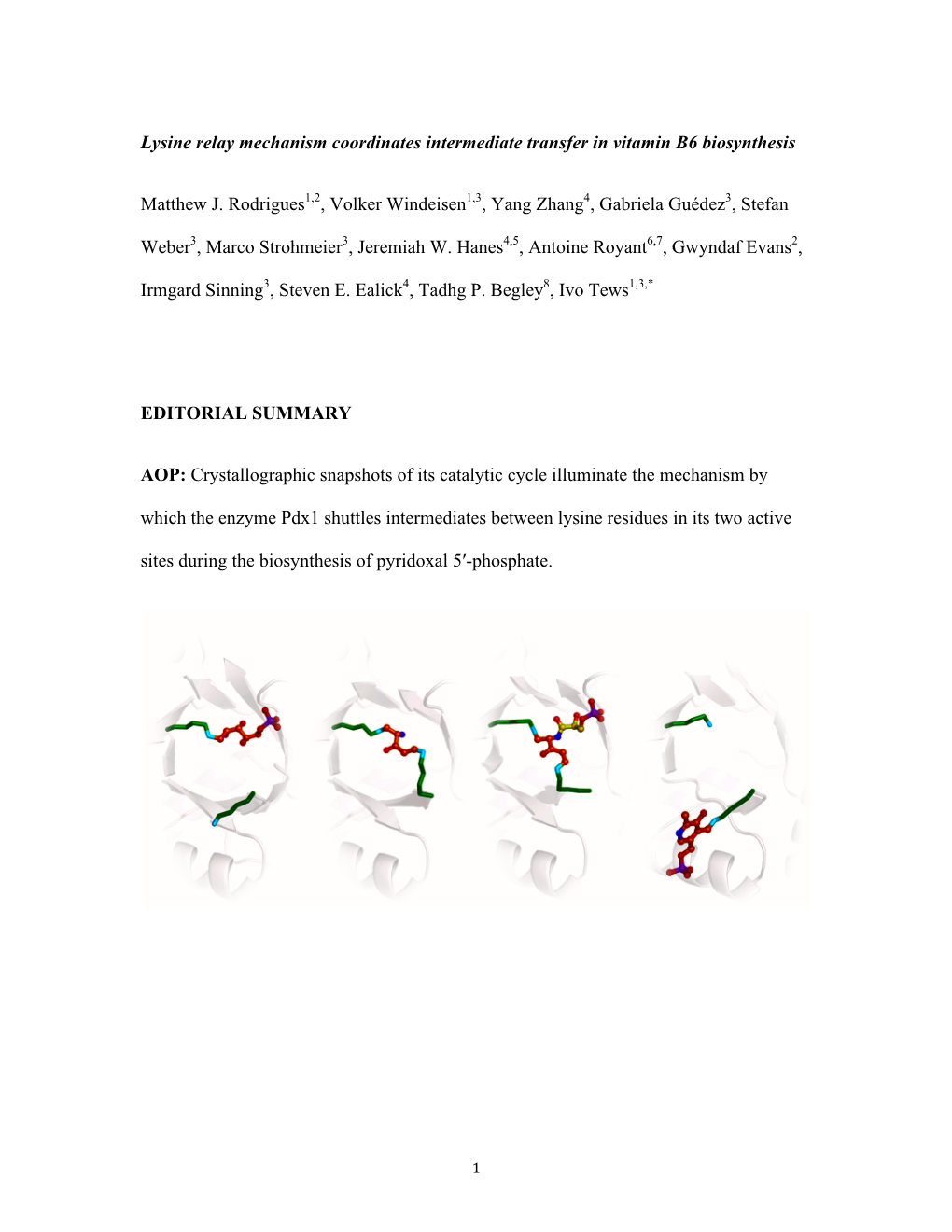 Lysine Relay Mechanism Coordinates Intermediate Transfer in Vitamin B6 Biosynthesis