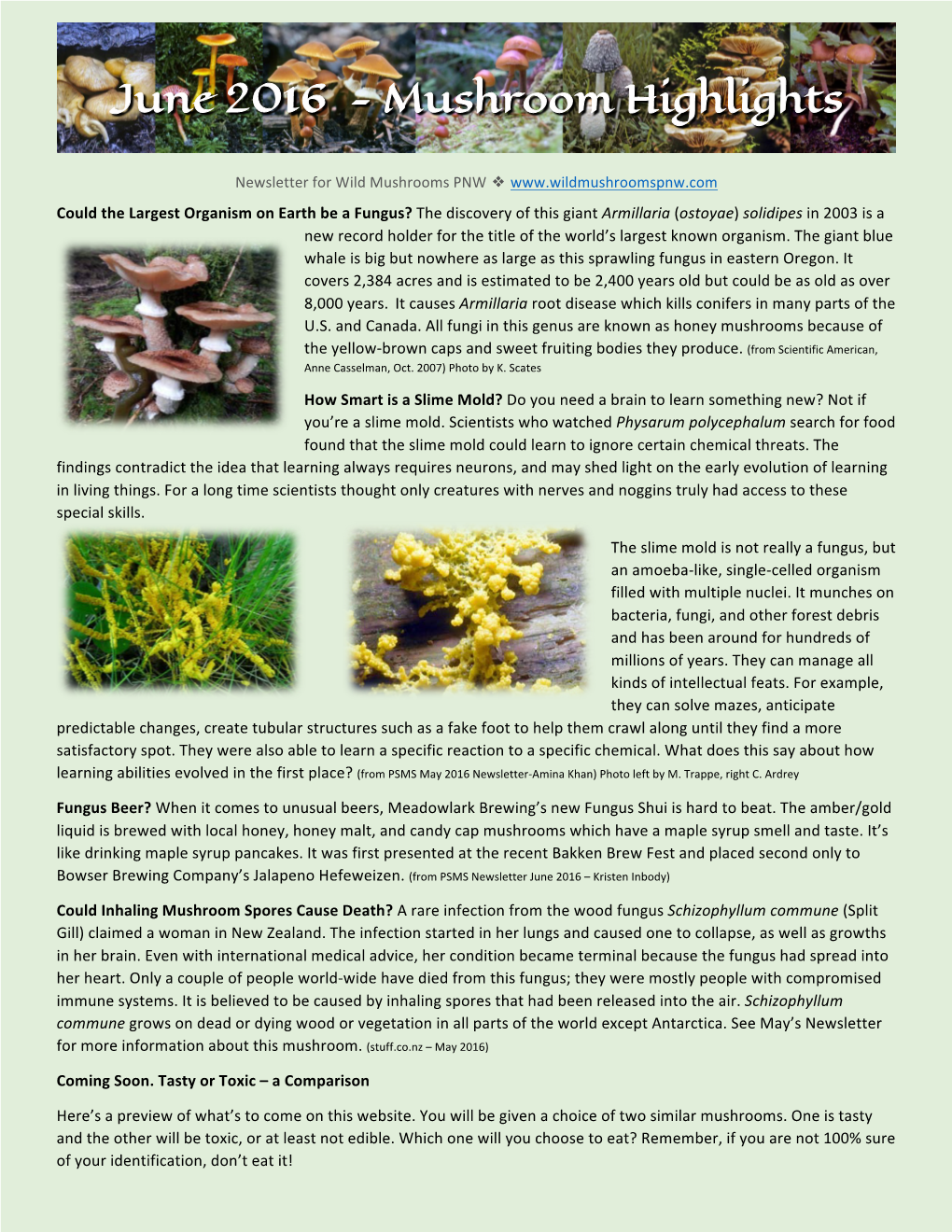 Mushroom Highlights Newsletter ~ June 2016