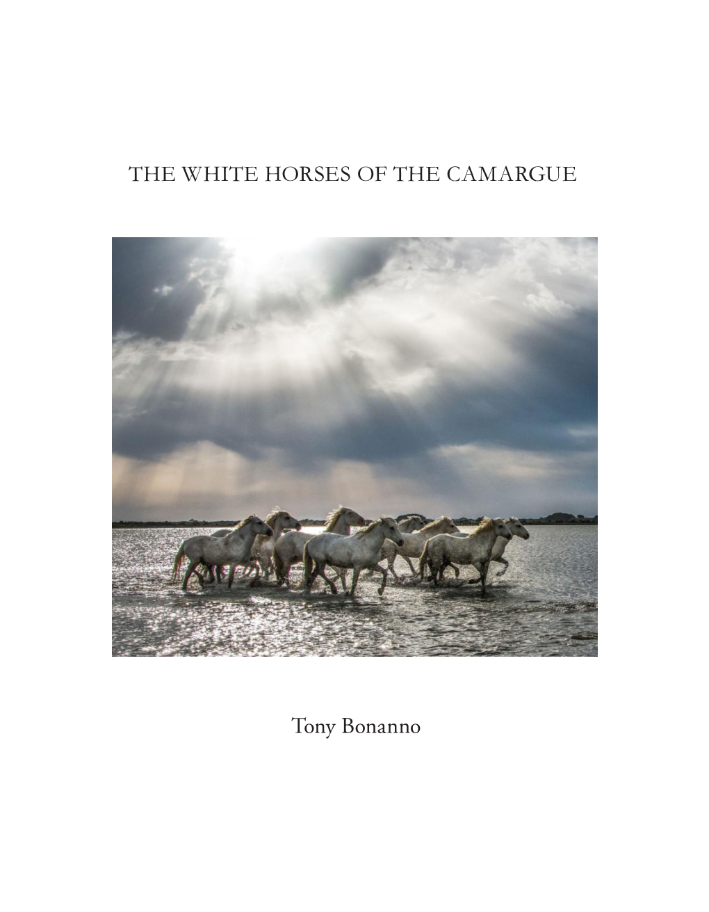 THE WHITE HORSES of the CAMARGUE Tony Bonanno
