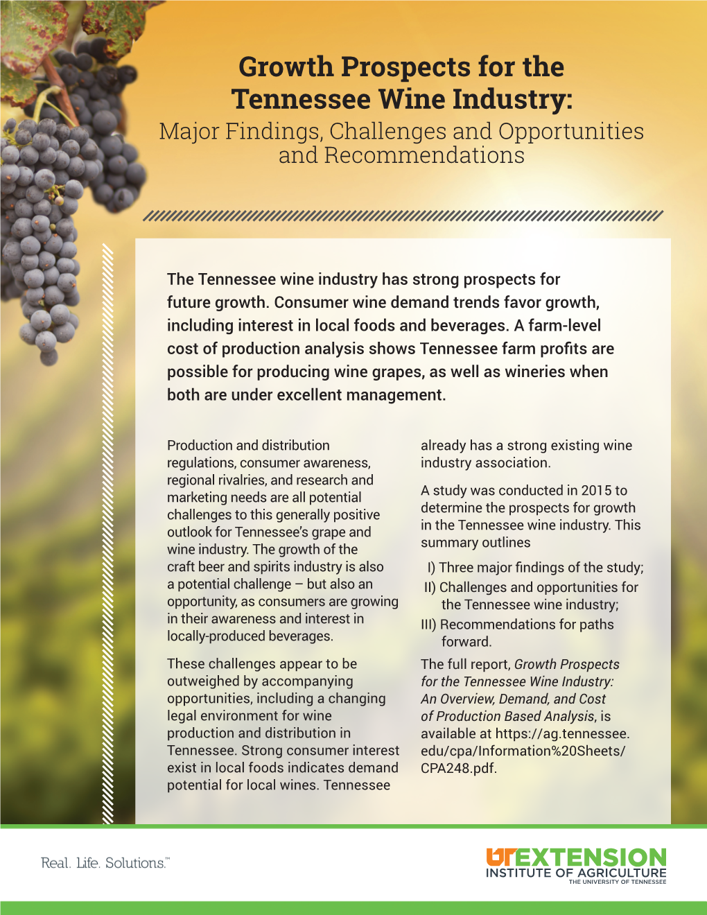 Growth Prospects for the Tennessee Wine Industry: Major Findings, Challenges and Opportunities and Recommendations