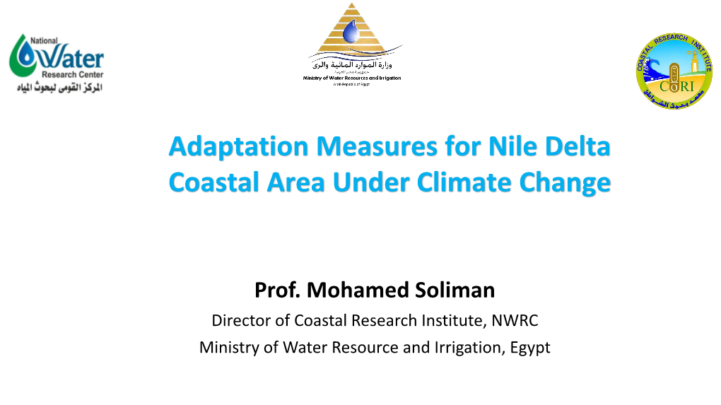 Adaptation Measures for Nile Delta Coastal Area Under Climate Change