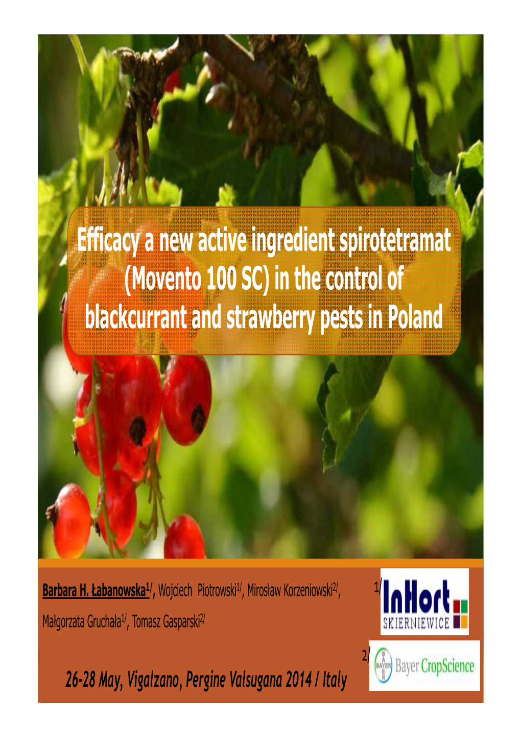 Efficacy a New Active Ingredient Spirotetramat (Movento 100 SC) in the Control of Blackcurrant and Strawberry Pests in Poland