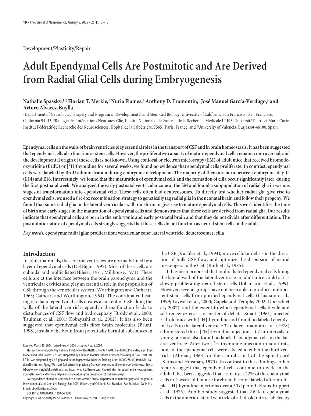 Adult Ependymal Cells Are Postmitotic and Are Derived from Radial Glial Cells During Embryogenesis