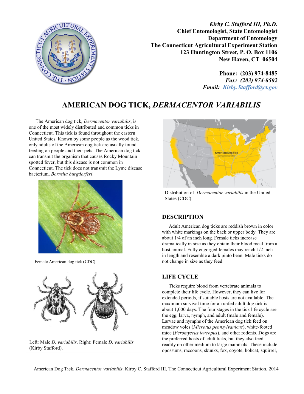 American Dog Tick, Dermacentor Variabilis