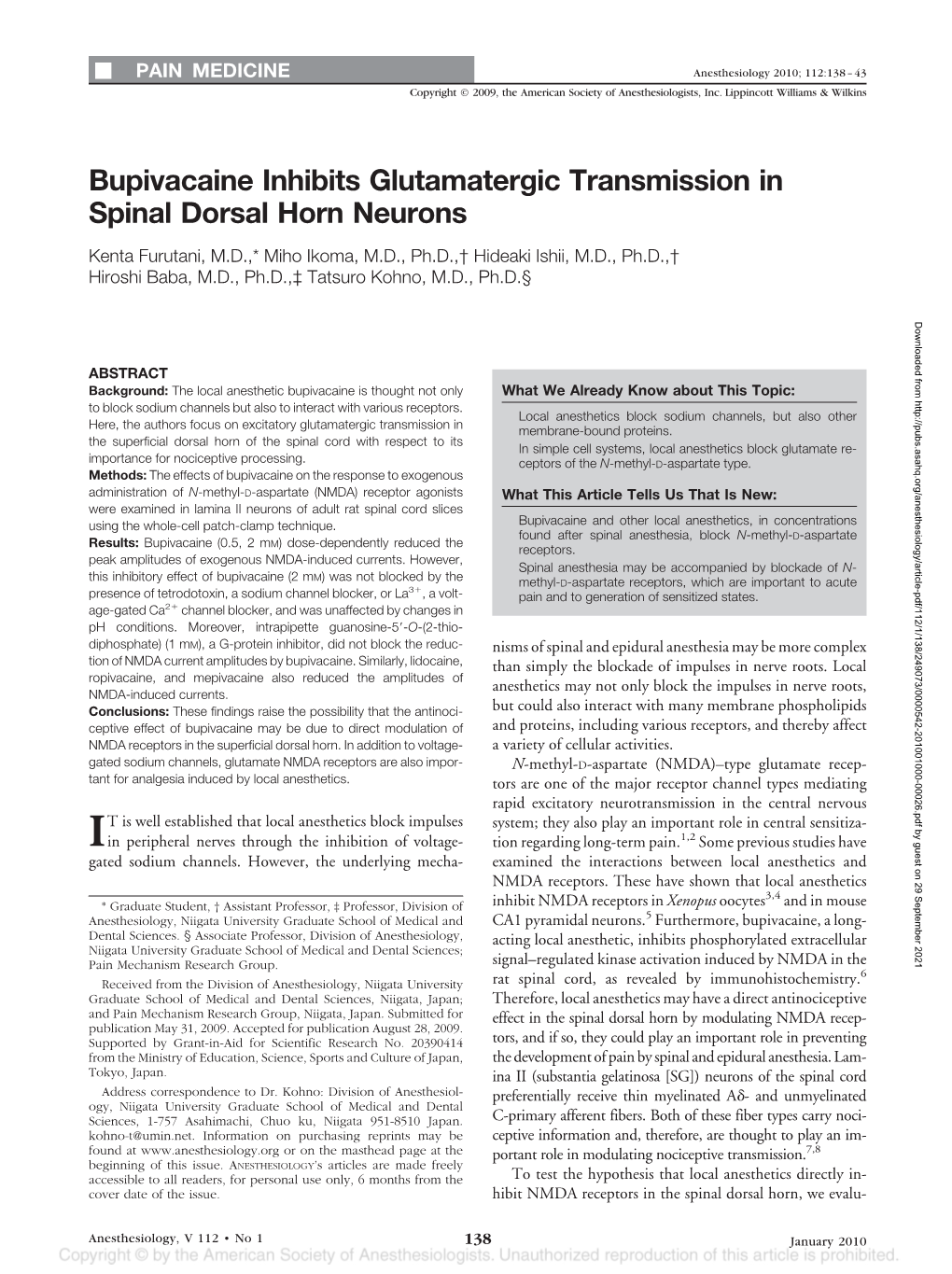 Bupivacaine Inhibits Glutamatergic Transmission in Spinal Dorsal Horn Neurons