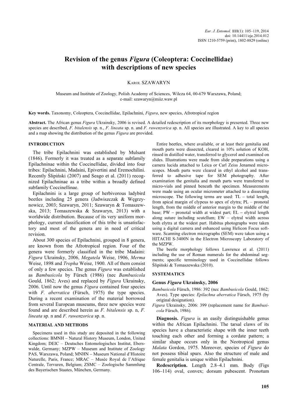 Revision of the Genus Figura (Coleoptera: Coccinellidae) with Descriptions of New Species