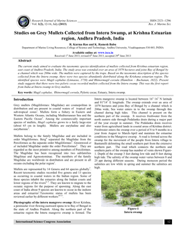 Studies on Grey Mullets Collected from Interu Swamp, at Krishna Estuarian Region, Andhra Pradesh, India R