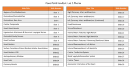 Powerpoint Handout: Lab 2, Thorax