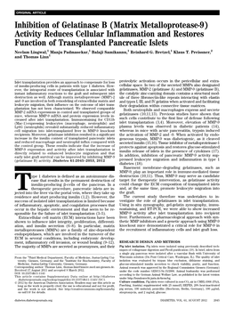 (Matrix Metalloprotease-9) Activity Reduces Cellular Inflammation and Restores Function of Transplanted Pancreatic Islets